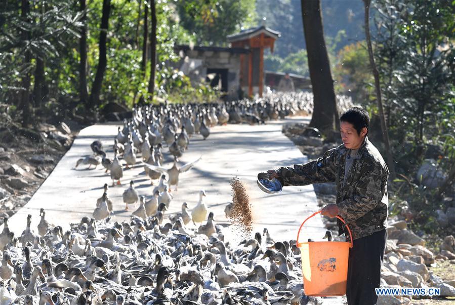 CHINA-GUANGXI-RONGSHUI-POVERTY-ALLEVIATION (CN)