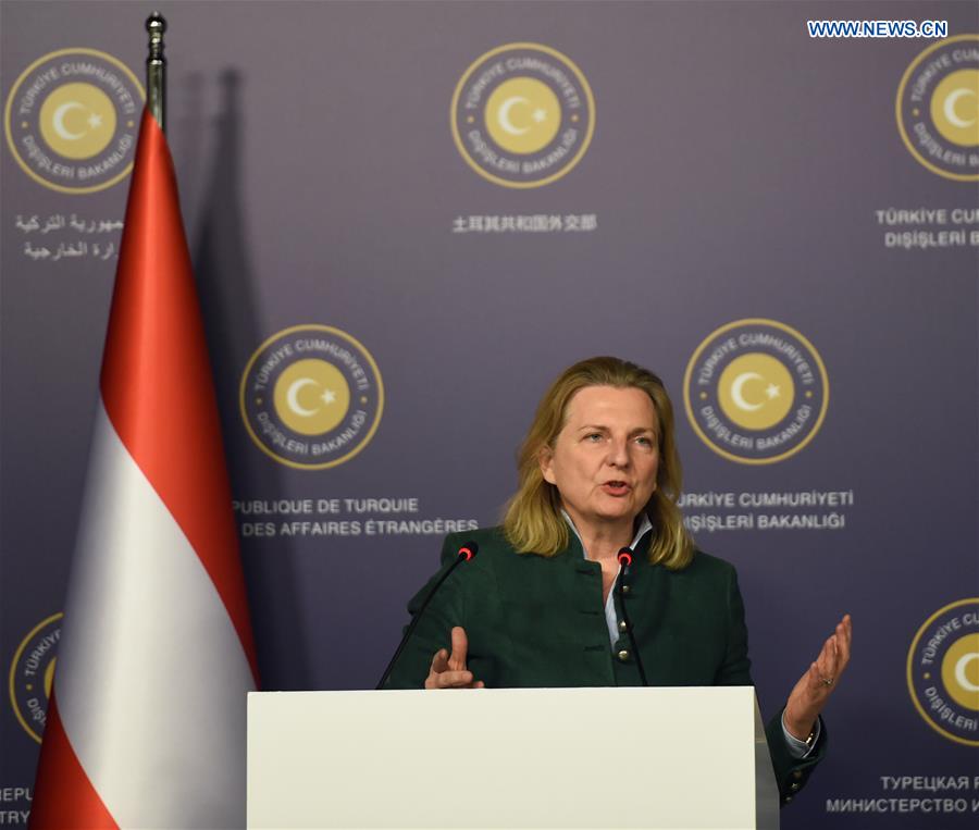 TURKEY-ISTANBUL-TURKEY-AUSTRIA-FMS-PRESS CONFERENCE