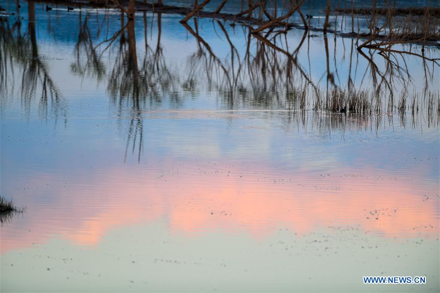 CHINA-YUNNAN-NIANHU LAKE(CN)