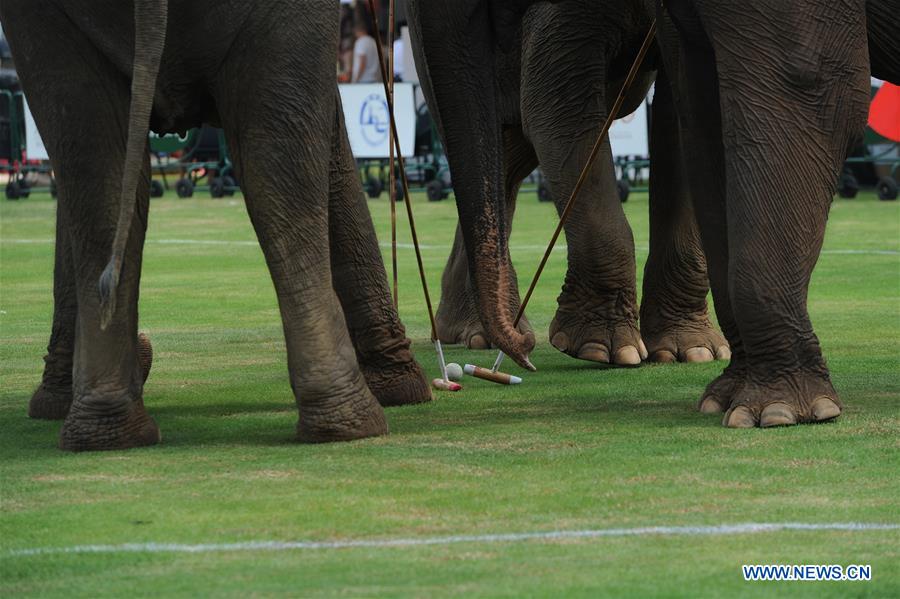 THAILAND-BANGKOK-ELEPHANT POLO