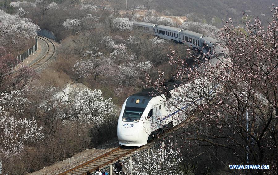 #CHINA-BEIJING-SCENERY (CN)