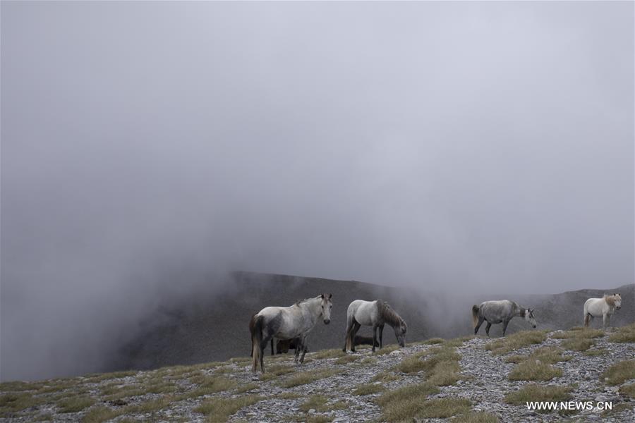 GREECE-MOUNT OLYMPUS-SCENERY