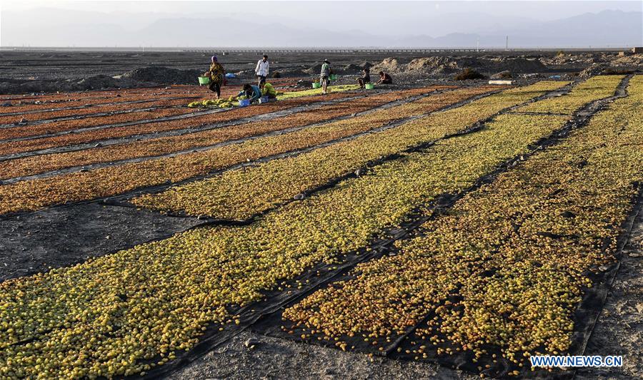 CHINA-XINJIANG-FRUITS (CN)