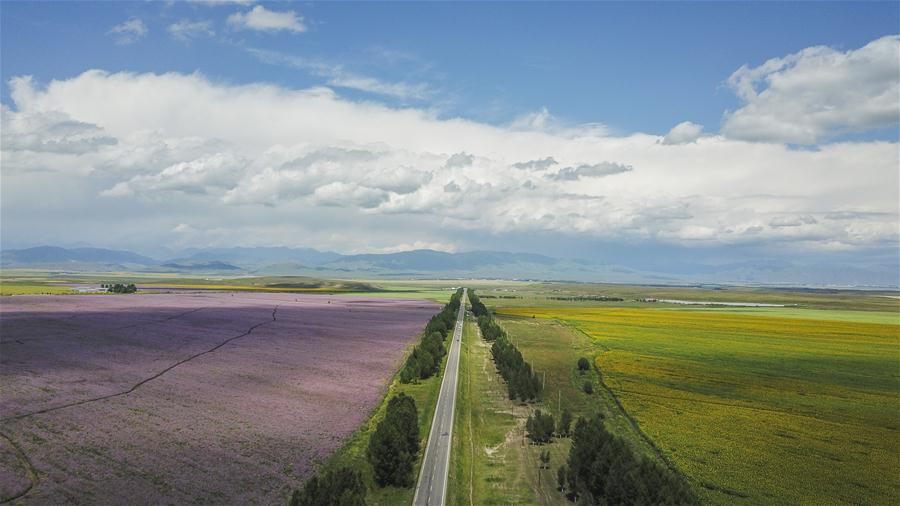 CHINA-XINJIANG-ROAD CONSTRUCTION (CN)