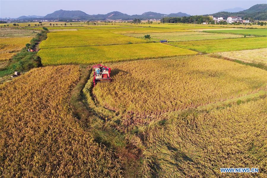 #CHINA-AUTUMN-HARVEST (CN)