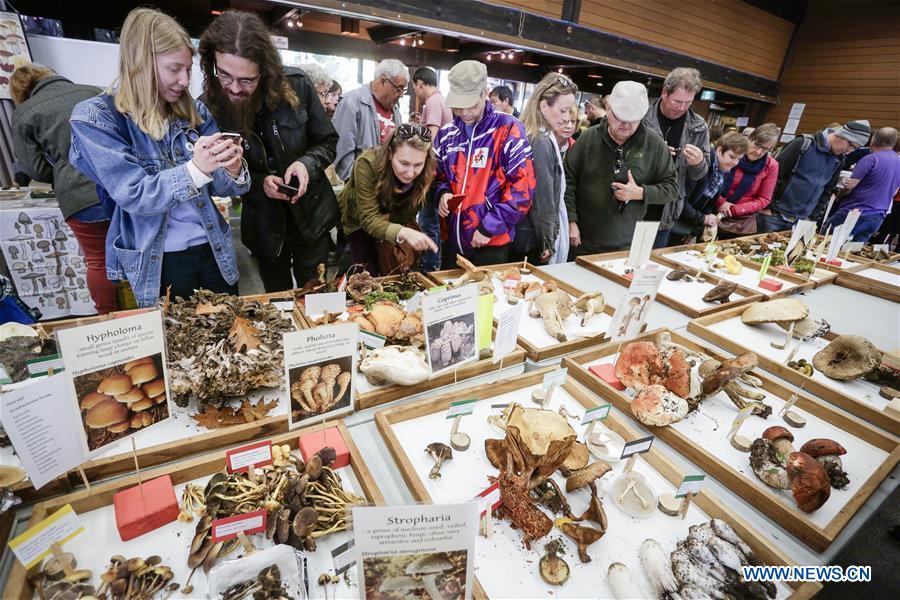 CANADA-VANCOUVER-MUSHROOM SHOW