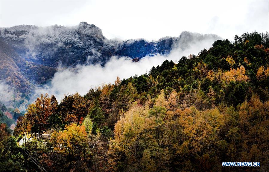 CHINA-SHAANXI-FOPING-SNOW SCENERY (CN)