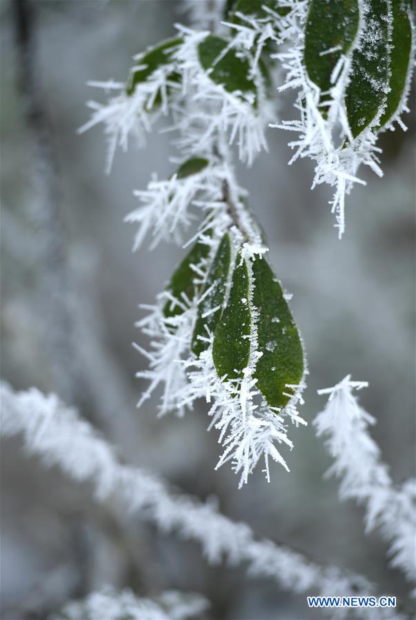 #CHINA-WINTER-RIME (CN)