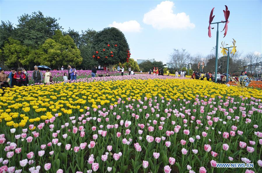 #CHINA-SPRING FESTIVAL-BLOSSOM (CN)