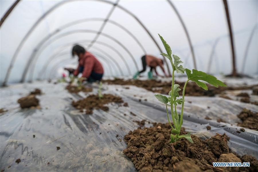 #CHINA-SPRING-FARMING (CN)