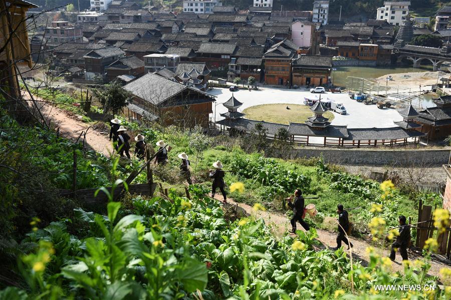 CHINA-GUIZHOU-LIPING-TREE PLANTING (CN)