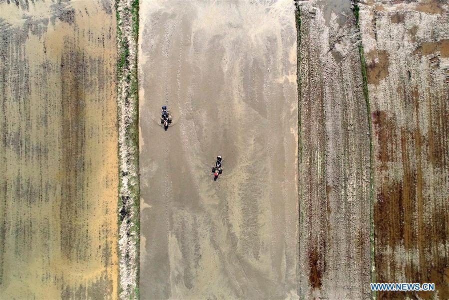 CHINA-NANCHANG-FARM WORK (CN)