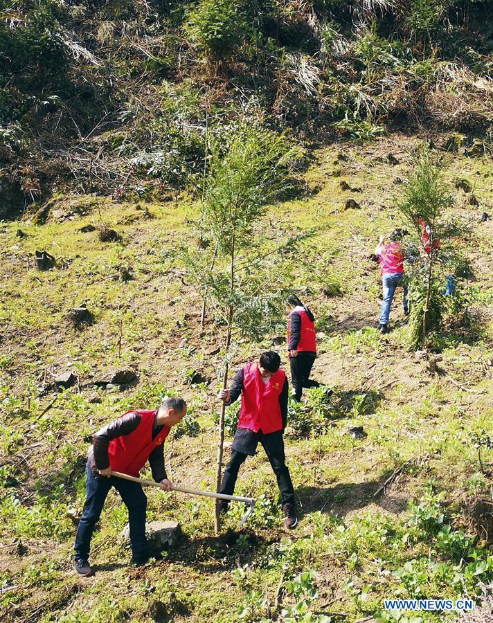 #CHINA-ARBOR DAY-TREE PLANTING (CN)