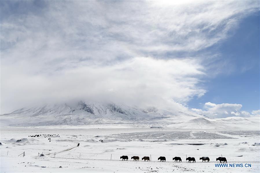 CHINA-XINJIANG-PAMIR PLATEAU (CN)