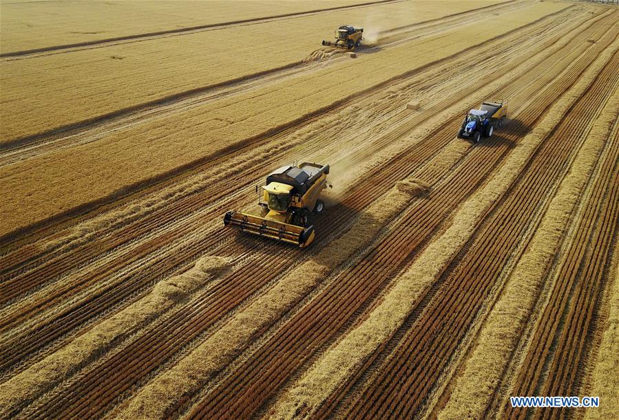 XINHUA PHOTOS OF THE DAY