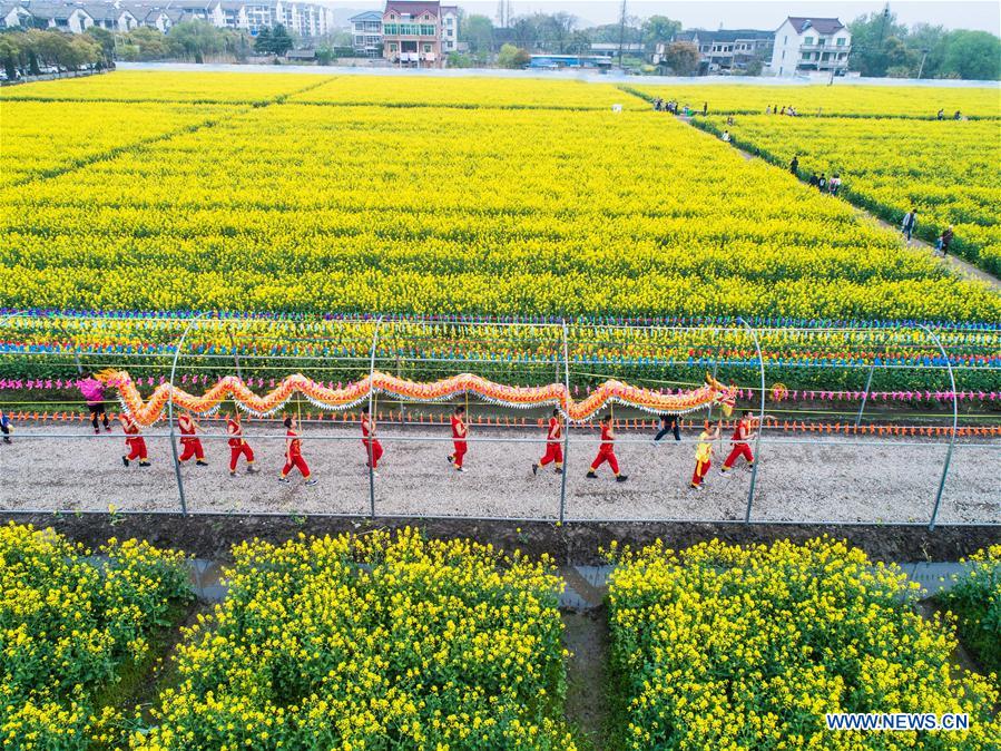 ZHEJIANG-HUZHOU-COLE FLOWER-TOURISM FESTIVAL (CN)