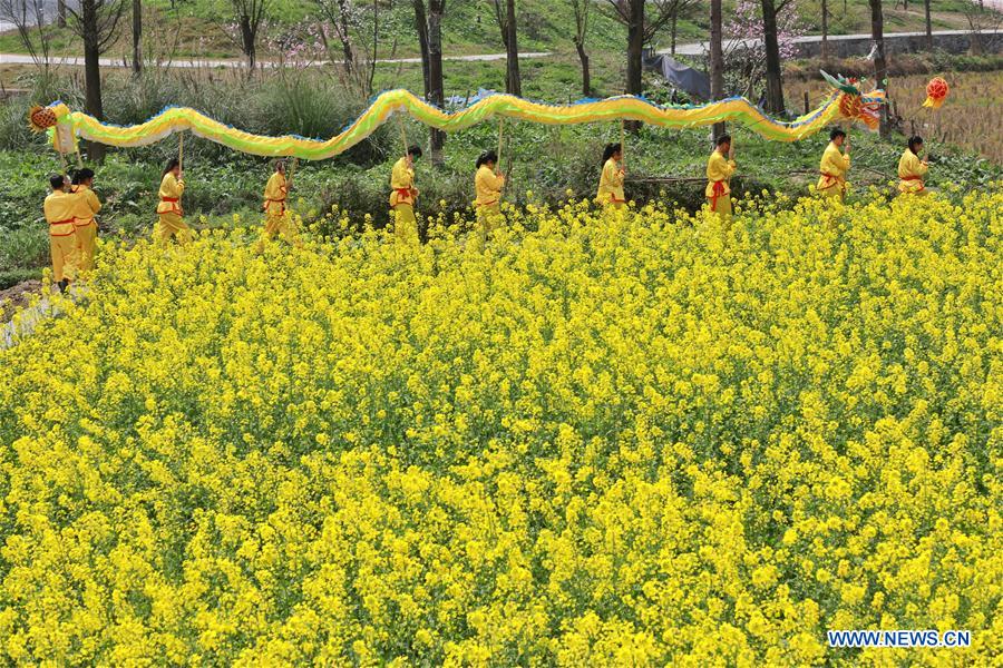 (SP)CHINA-GUIZHOU-JINPING-CULTURAL HERITAGE-DRAGON DANCE (CN)