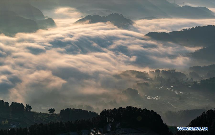 #CHINA-CHONGQING-WEATHER-FOG (CN)