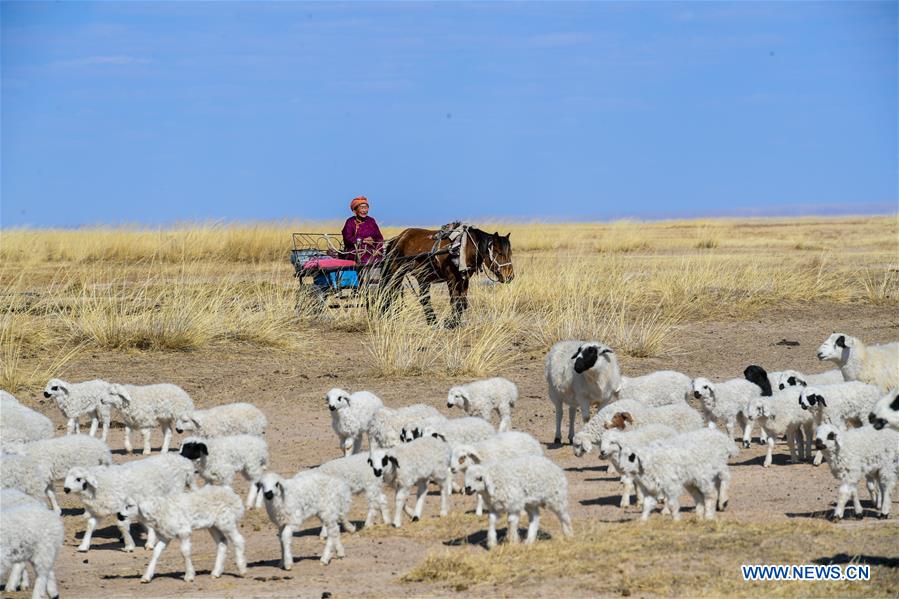 CHINA-INNER MONGOLIA-HULUN BUIR-LAMB (CN)