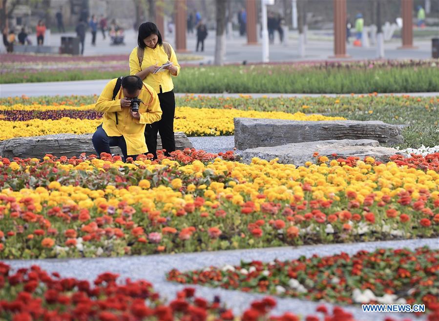 (EXPO 2019)CHINA-BEIJING-HORTICULTURAL EXPO-OPENING TO PUBLIC (CN)