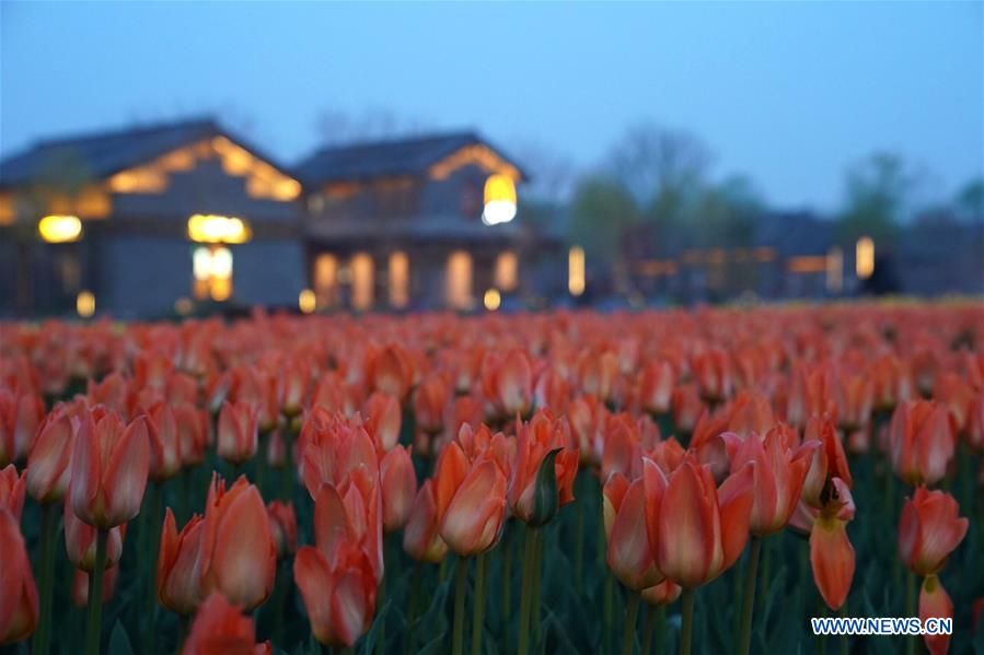 (EXPO 2019)CHINA-BEIJING-HORTICULTURAL EXPO-OPENING (CN)