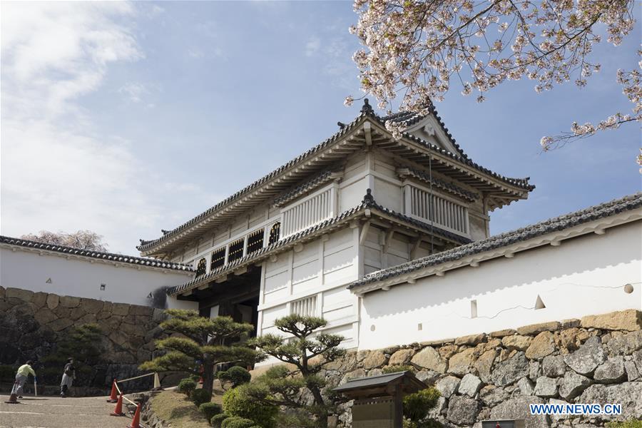 JAPAN-HYOGO-HIMEIJI CASTLE-SCENERY