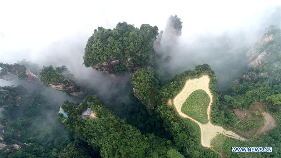 #CHINA-HUNAN-ZHANGJIAJIE-SCENERY (CN)