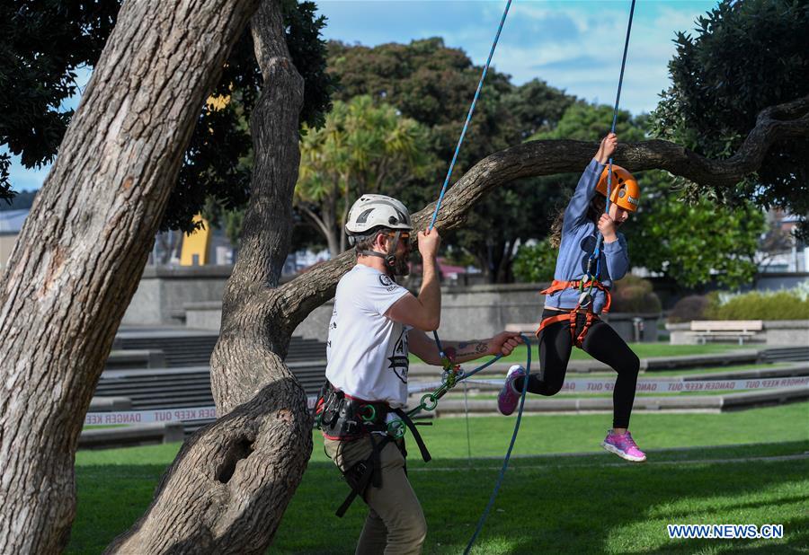 NEW ZEALAND-WELLINGTON-TREE CLIMBING COMPETITION