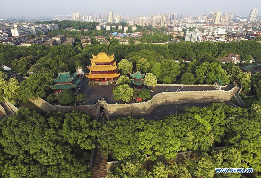 (EcoChina)CHINA-HORTICULTURAL EXPO-HUNAN (CN)