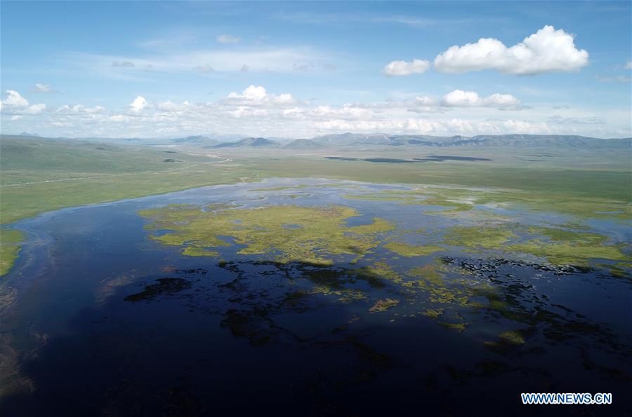 CHINA-GANSU-GANNAN-GAHAI LAKE-ECOLOGY (CN)