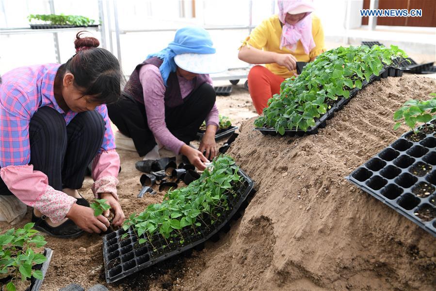 CHINA-GANSU-ECO AGRICULTURE(CN)