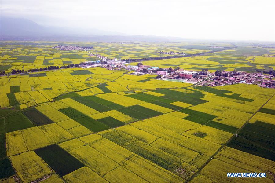 (EcoChina)CHINA-HORTICULTURAL EXPO-GANSU (CN)