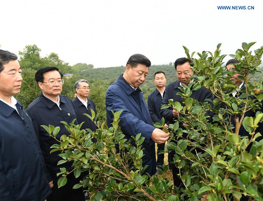 CHINA-HENAN-XI JINPING-POVERTY ALLEVIATION-INSPECTION (CN)