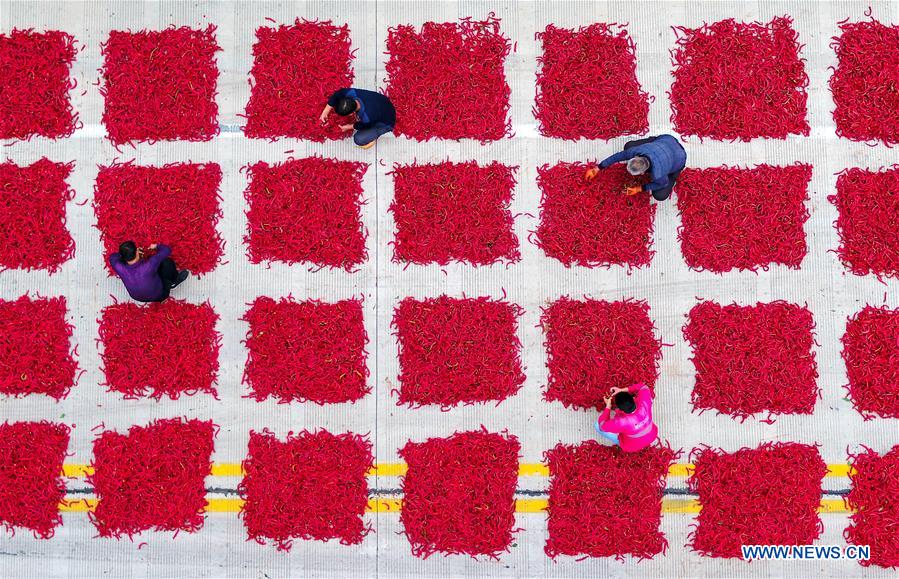 CHINA-FARMERS' HARVEST FESTIVAL (CN)