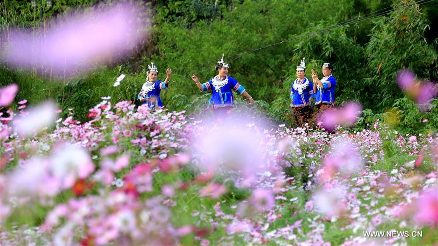 CHINA-GUANGXI-SANJIANG-GALSANG FLOWERS (CN)