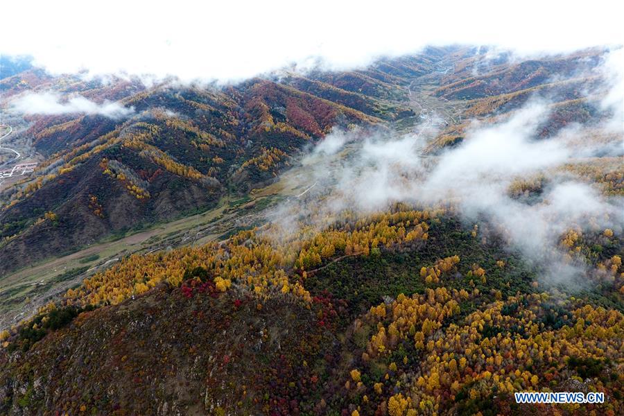 CHINA-SHANXI-PANGQUANGOU-NATURE RESERVE (CN)