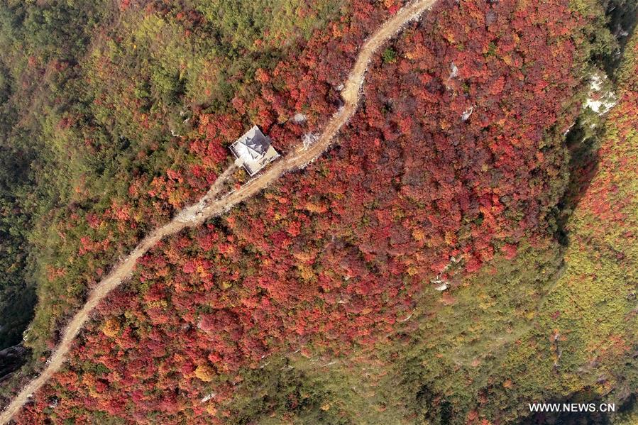 CHINA-HEBEI-SHAHE-AUTUMN SCENERY(CN)