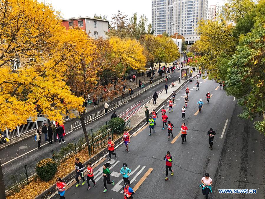 (BeijingCandid)CHINA-BEIJING-AUTUMN (CN)