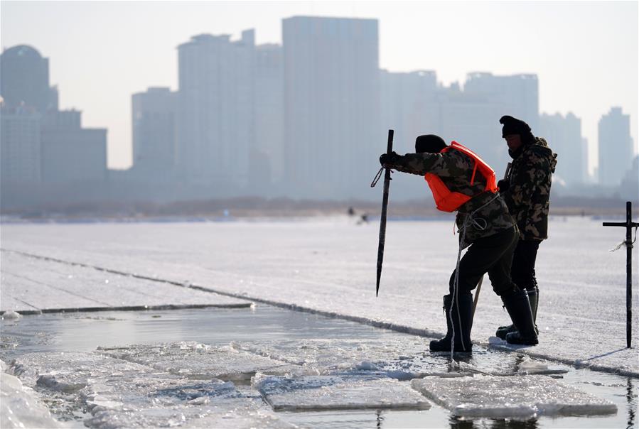 CHINA-HEILONGJIANG-HARBIN-ICE DIGGING (CN)