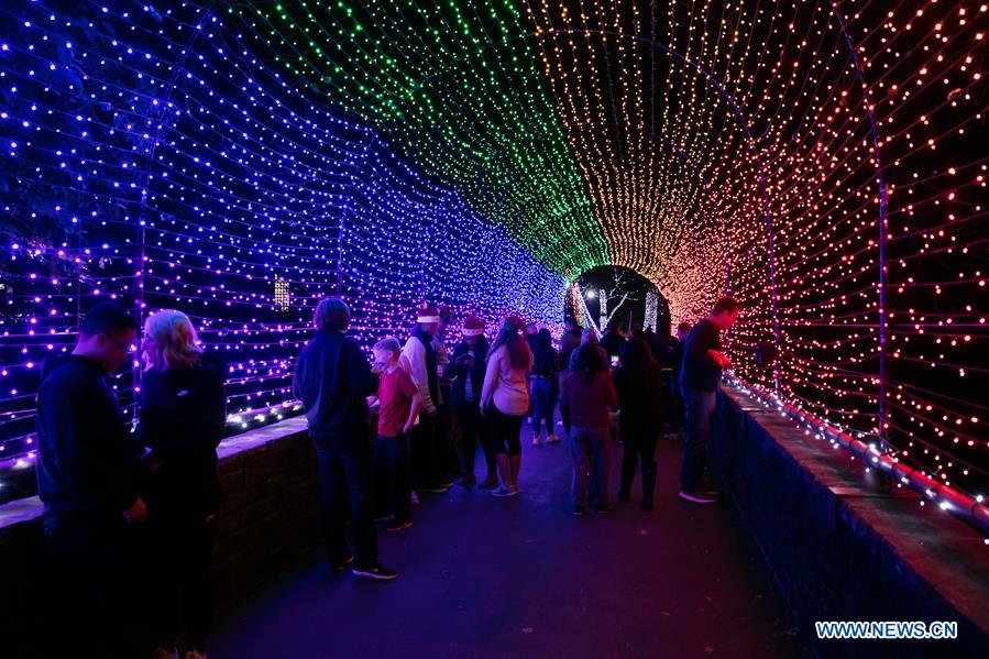 U.S.-TEXAS-DALLAS-LIGHT SHOW