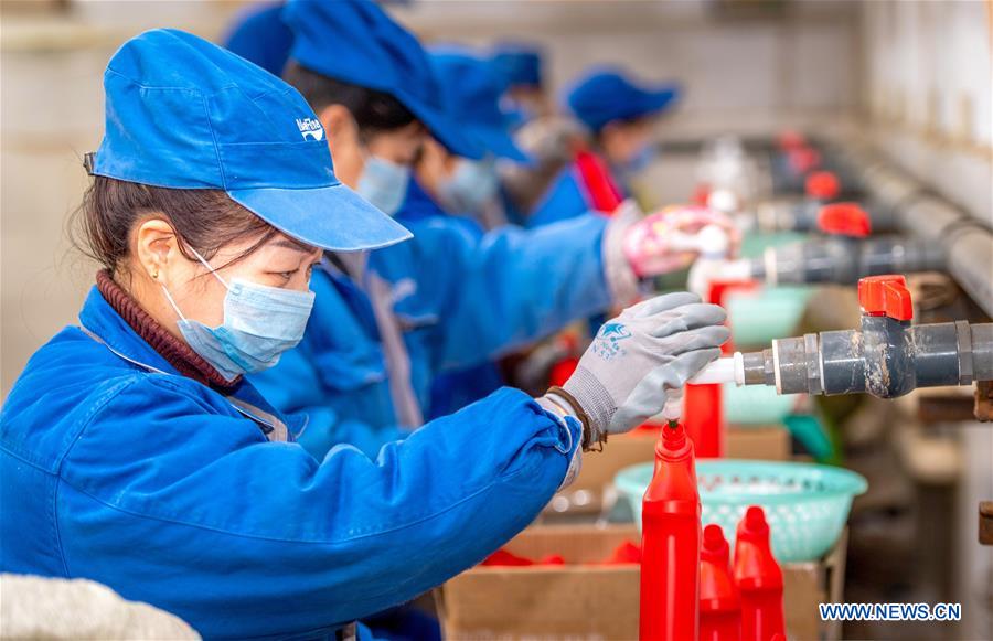 #CHINA-SHANXI-CORONAVIRUS-DISINFECTANT-PRODUCTION (CN)