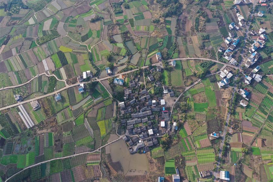 CHINA-GUANGXI-SPRING PLOUGHING(CN)