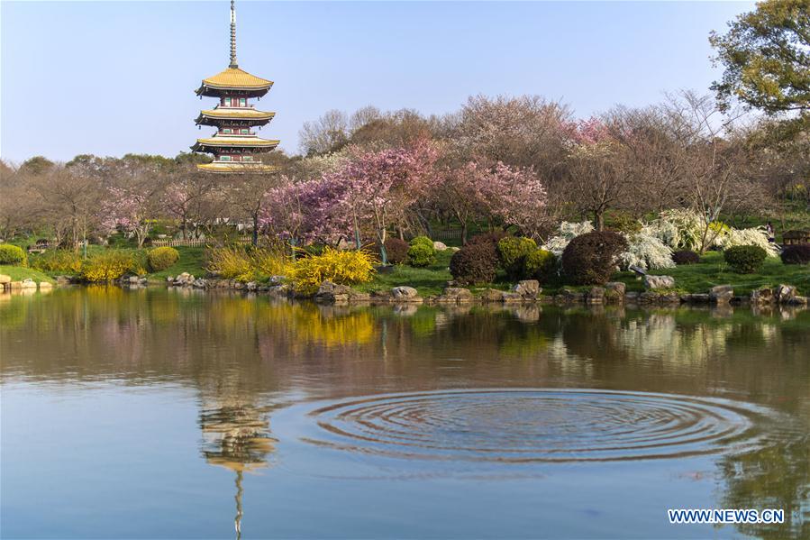CHINA-HUBEI-WUHAN-SPRING SCENERY (CN)