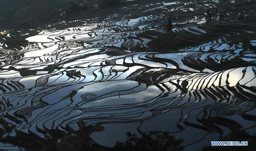 CHINA-YUNNAN-HANI TERRACED FIELDS-VIEWS (CN)