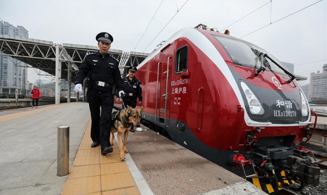 Spring Festival travel rush: busiest time for police dog "Long Ya"