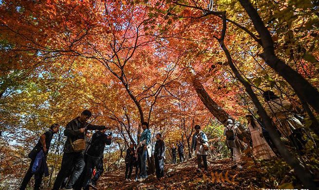 Tourists enjoy National Day holiday across China