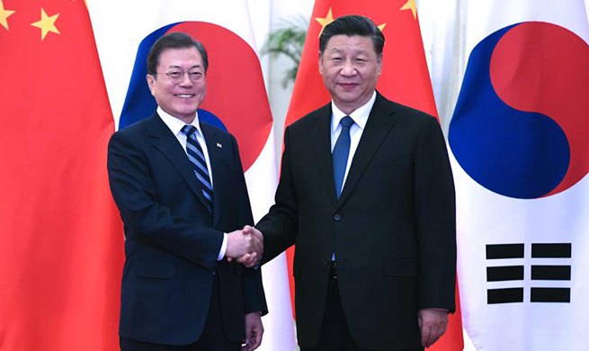 Xi meets ROK president, calling for advancing bilateral ties