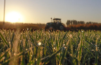 Autumn farmwork seen across China