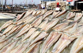 Farmers dry fish in east China's Jiangsu