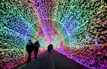 Aurora Winter Festival held in Vancouver, Canada